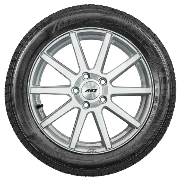 SnowDragon 2 121R – pilt 4