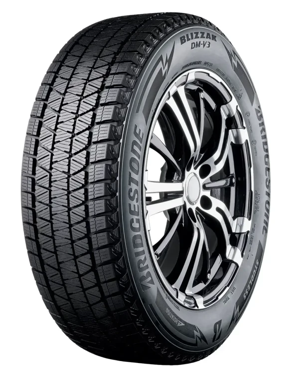 Blizzak DM-V3 105T