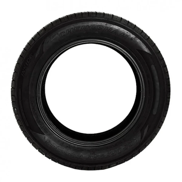 CSC-303 (Austone) 92W – pilt 3