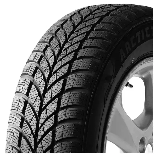 WP-05 Arctic Trekker 72T – pilt 3