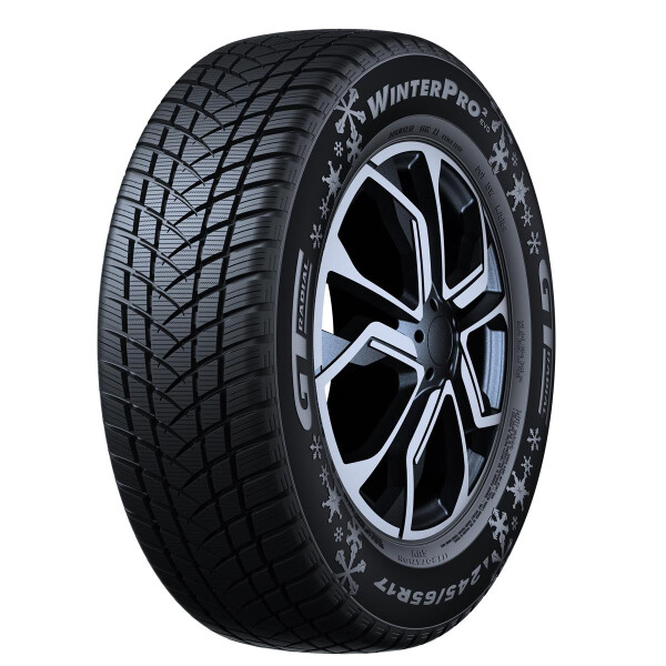 WINTERPRO 2 (EVO) 81T M+S