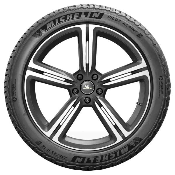 PILOT ALPIN 5 101W – pilt 2
