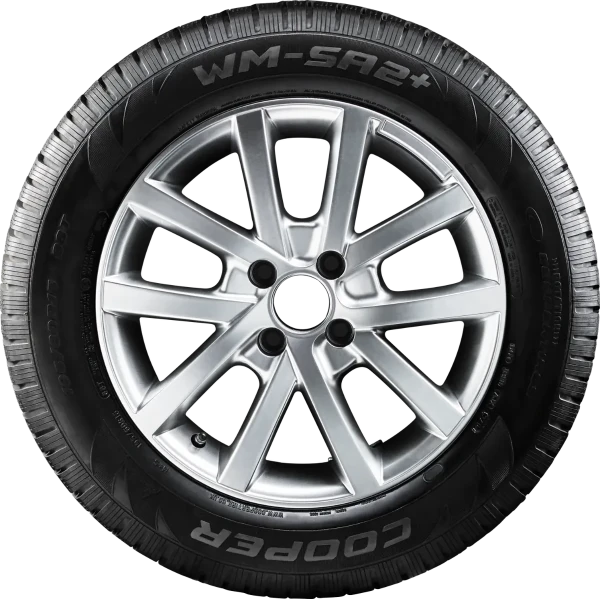 Weathermaster SA2 + (T) 82T – pilt 2