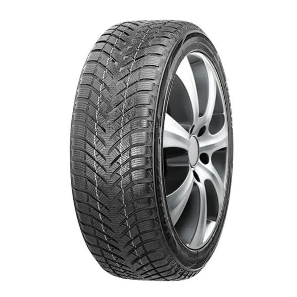 NeoWinter 79T