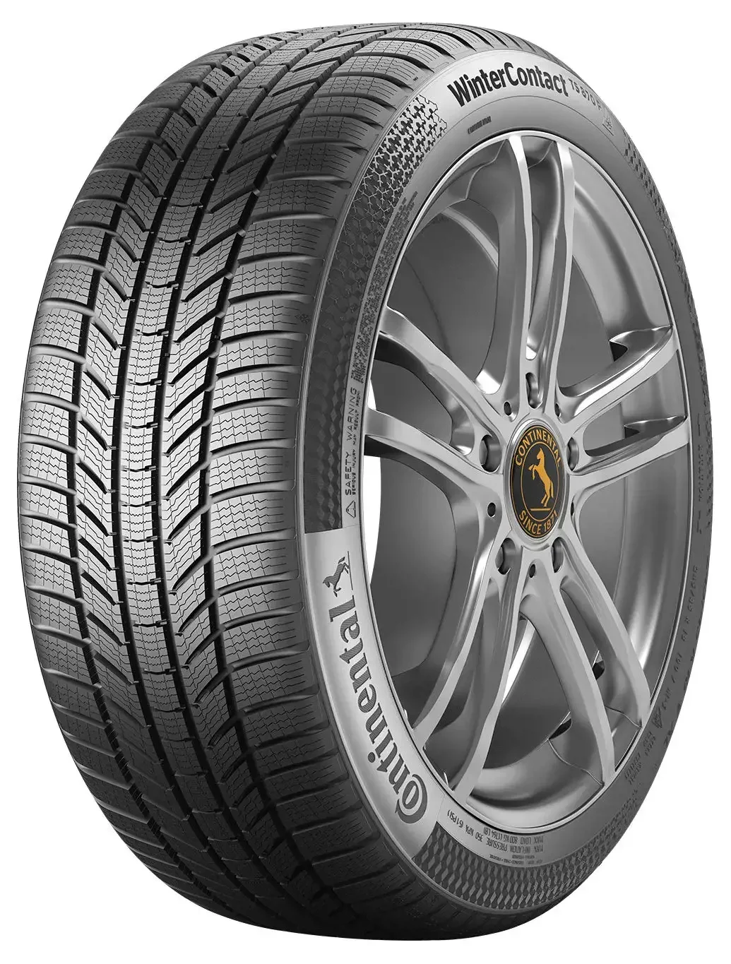 WinterContact TS 870 P EVC 108T